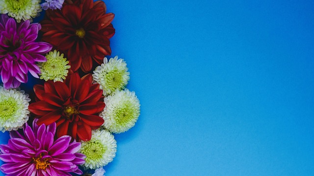 中国冰壶男队5连胜锁定循环赛前三 向米兰冬奥席位冲刺